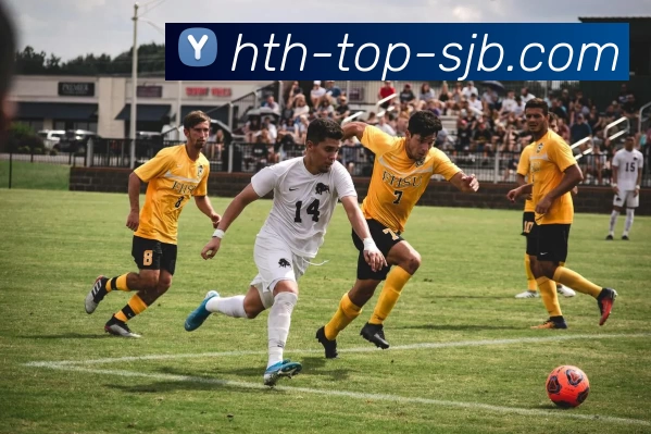 华体会 Top，华体会 Top，华体会官网，华体会热门赛事，华体会APPAPP 封面图